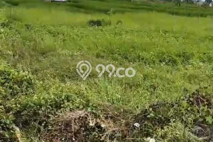 Tanah Investasi Dijual di Badung Punya Luas 500m2 Tanah Investasi Dijual di Badung Punya Luas 500m2