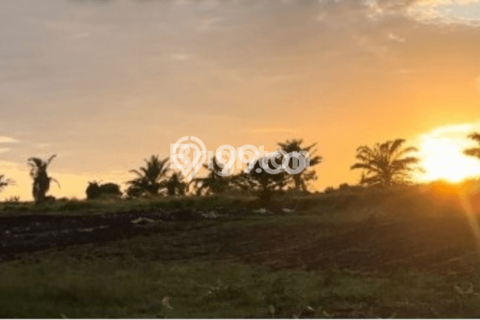 Untuk Dijual Tanah di Tabanan, Luas 252m2 SHM Untuk Dijual Tanah di Tabanan, Luas 252m2 SHM
