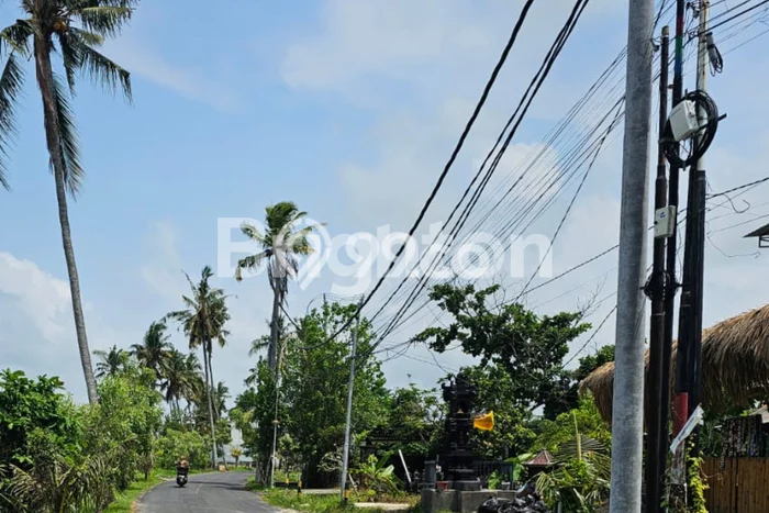 Ruko Disewa di Mengwi, Badung, LT 100m2 / LB 80m2 Ruko Disewa di Mengwi, Badung, LT 100m2 / LB 80m2