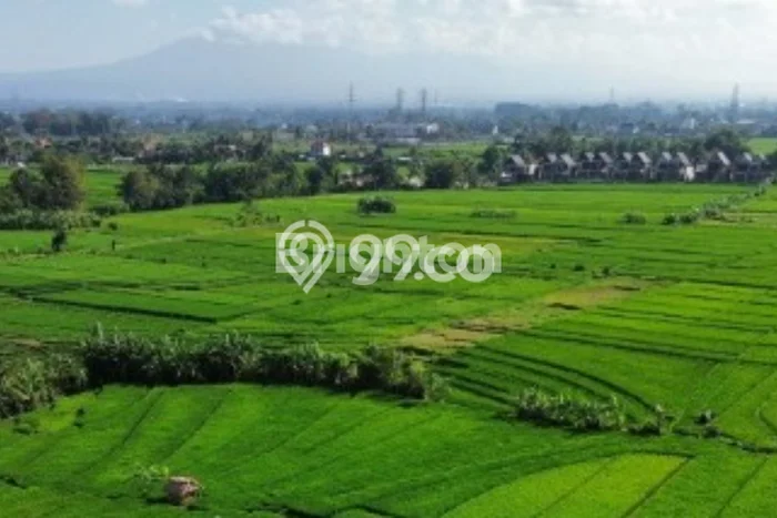 Untuk Dijual Tanah di Tabanan, Luas 252m2 SHM Untuk Dijual Tanah di Tabanan, Luas 252m2 SHM