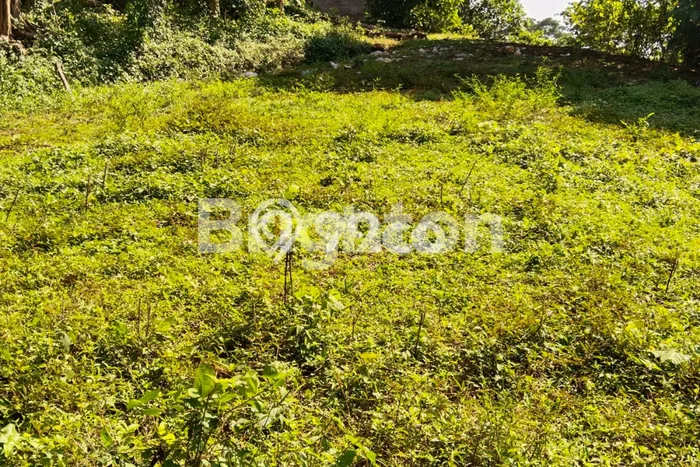 Tanah Kavling Dijual di Tabanan dengan Spesifikasi 105m2 Tanah Kavling Dijual di Tabanan dengan Spesifikasi 105m2