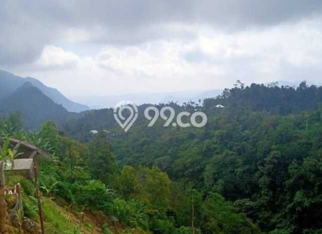 Tanah Dijual Lokasi Buleleng Buleleng - Tanah Dijual Lokasi Buleleng Buleleng -