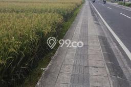 Untuk Disewa Tanah di Tibubeneng Badung Seluas 2400m2 Untuk Disewa Tanah di Tibubeneng Badung Seluas 2400m2