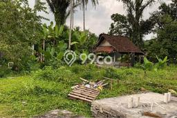 Tanah Kavling Disewakan di Sibang Kaja dengan Luas 1500m2 Tanah Kavling Disewakan di Sibang Kaja dengan Luas 1500m2
