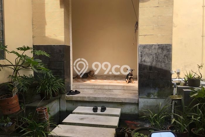 Rumah Elit Modern Siap Huni di Tibubeneng Badung Rumah Elit Modern Siap Huni di Tibubeneng Badung