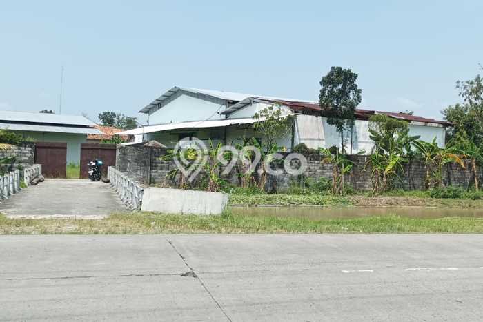 Gudang Dijual di Kawasan Demak, Demak Harga Kompetitif Gudang Dijual di Kawasan Demak, Demak Harga Kompetitif
