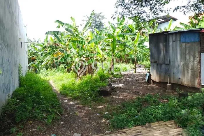Tanah Kavling untuk Disewa di Tugu Semarang 500m2 Tanah Kavling untuk Disewa di Tugu Semarang 500m2