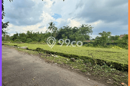 Tanah Kavling di Ngaglik Dijual dengan Luas 200m2 Tanah Kavling di Ngaglik Dijual dengan Luas 200m2