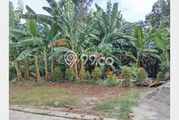 Tanah Dijual Area Strategis di Cinere Jakarta Selatan 235m2 Tanah Dijual Area Strategis di Cinere Jakarta Selatan 235m2