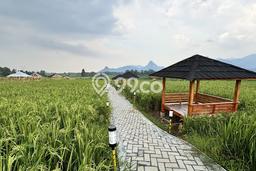Kavling Tanah di Cileungsi Dijual Luas 100m2 Legalitas SHM Kavling Tanah di Cileungsi Dijual Luas 100m2 Legalitas SHM