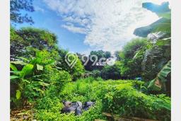 Untuk Dijual Tanah di Jakarta Timur, Luas 391m2 SHM Untuk Dijual Tanah di Jakarta Timur, Luas 391m2 SHM