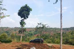 Tanah Dijual Lokasi Wado, Sumedang Luas 10000m2 Legalitas Aman Tanah Dijual Lokasi Wado, Sumedang Luas 10000m2 Legalitas Aman