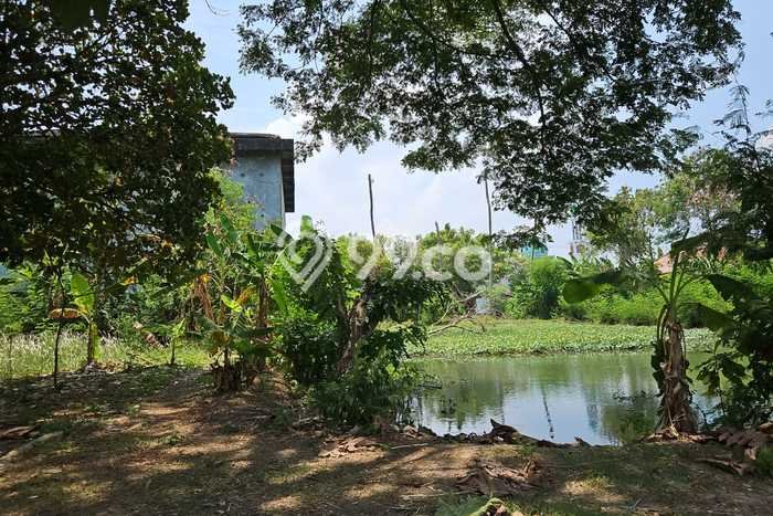 Kavling Tanah untuk Dijual di Sukatani, Bogor, Luas 1000m2 Kavling Tanah untuk Dijual di Sukatani, Bogor, Luas 1000m2
