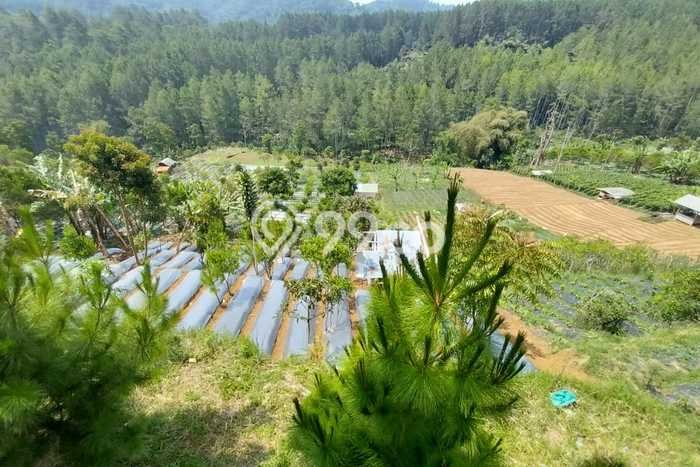 Tanah Komersial Dijual di Lembang Bandung Barat 4228m2 Tanah Komersial Dijual di Lembang Bandung Barat 4228m2
