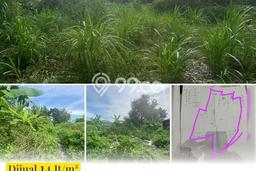 Tanah Kosong Dijual di Yogyakarta dengan Area 3900m2 Tanah Kosong Dijual di Yogyakarta dengan Area 3900m2