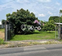 Lahan Investasi Lokasi Berbah Sleman SHM Lahan Investasi Lokasi Berbah Sleman SHM