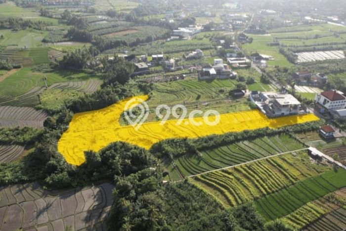 Tanah Disewa di Tumbak Bayuh Strategis dan Memiliki Luas 10500m2 Tanah Disewa di Tumbak Bayuh Strategis dan Memiliki Luas 10500m2