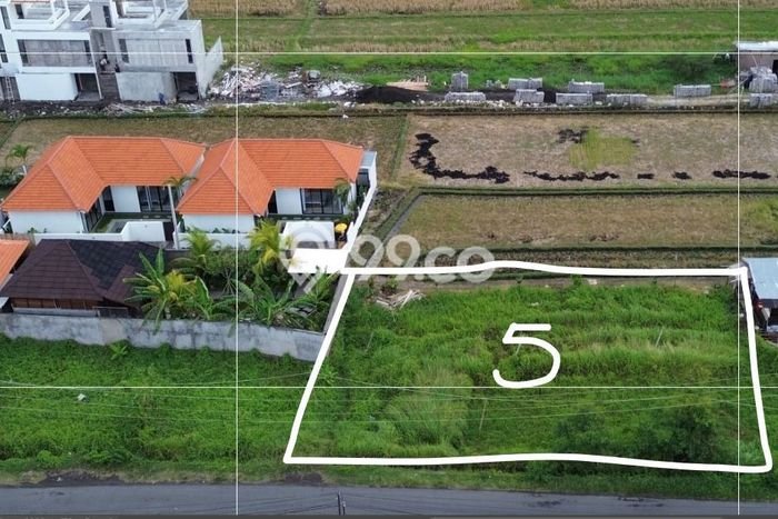 Tanah Disewakan Lokasi Badung Seluas 500m2 Strategis dan Aman Tanah Disewakan Lokasi Badung Seluas 500m2 Strategis dan Aman