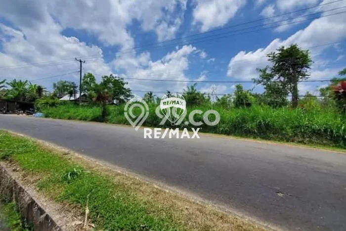 Untuk Dijual Tanah di Petang Badung Luas 7700m2 SHM Untuk Dijual Tanah di Petang Badung Luas 7700m2 SHM