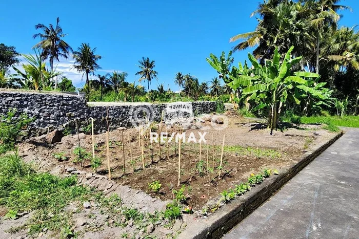 Dijual Tanah di Gianyar, Luas 100m2 SHM Dijual Tanah di Gianyar, Luas 100m2 SHM