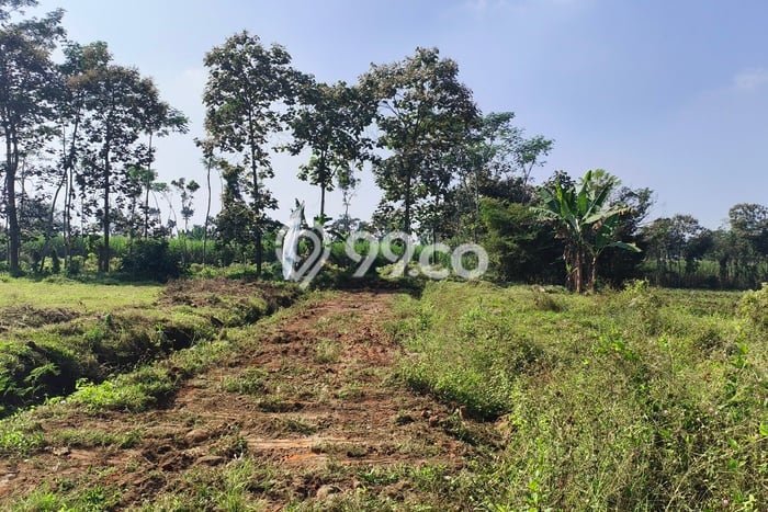 Lahan Strategis di Pakis Dijual dengan Luas 60m2 Lahan Strategis di Pakis Dijual dengan Luas 60m2