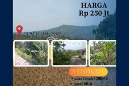 Lahan Kosong Dijual di Sukamakmur, Bogor, Luas 1000m2 Area Strategis Lahan Kosong Dijual di Sukamakmur, Bogor, Luas 1000m2 Area Strategis