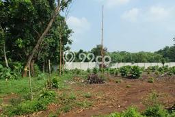 Tanah Kavling di Cisauk Dijual dengan Luas 5000m2 Tanah Kavling di Cisauk Dijual dengan Luas 5000m2