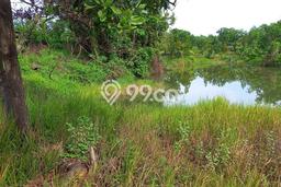 Tanah Kavling untuk Dijual di Tenjo Bogor 3500m2 Tanah Kavling untuk Dijual di Tenjo Bogor 3500m2