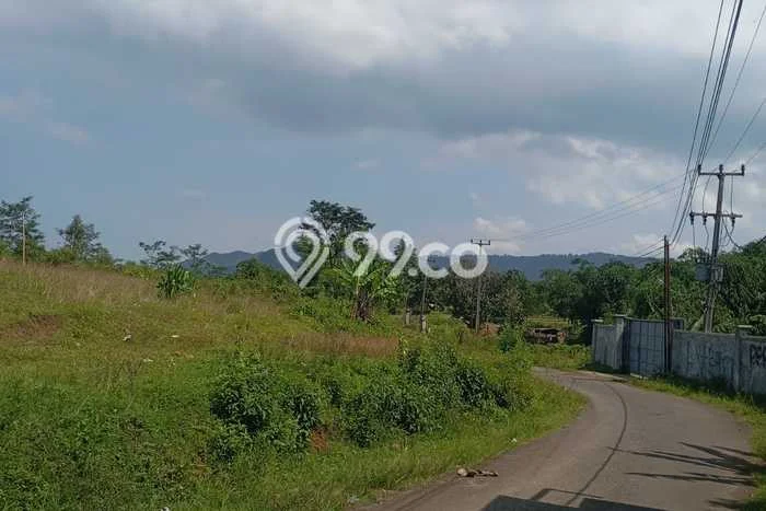 Tanah Dijual Lokasi Nanggung, Bogor dengan Luas Tanah 11000m2 dan Status SHM Tanah Dijual Lokasi Nanggung, Bogor dengan Luas Tanah 11000m2 dan Status SHM
