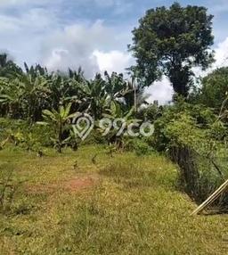 Tanah Dijual Lokasi Tigaraksa, Tangerang Luas 7978m2 Legalitas Aman Tanah Dijual Lokasi Tigaraksa, Tangerang Luas 7978m2 Legalitas Aman