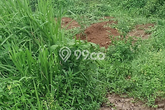 Tanah Kavling di Cileles Dijual dengan Luas 1.5e+06m2 Tanah Kavling di Cileles Dijual dengan Luas 1.5e+06m2