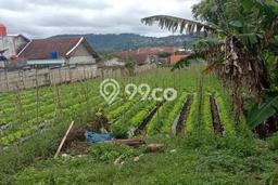 Untuk Dijual Tanah 6916m2 di Lembang, Bandung Untuk Dijual Tanah 6916m2 di Lembang, Bandung