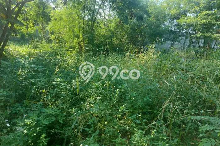 Tanah Kavling untuk Disewa di Palmerah Jakarta Barat 660m2 Tanah Kavling untuk Disewa di Palmerah Jakarta Barat 660m2