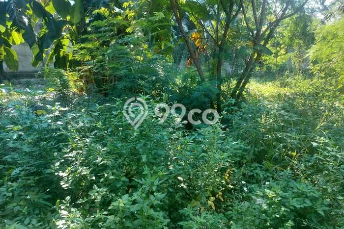Tanah Kavling untuk Disewa di Palmerah Jakarta Barat 660m2 Tanah Kavling untuk Disewa di Palmerah Jakarta Barat 660m2