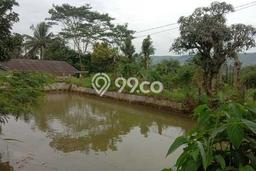 Tanah Kavling untuk Dijual di Cicantayan Sukabumi 3646m2 Tanah Kavling untuk Dijual di Cicantayan Sukabumi 3646m2