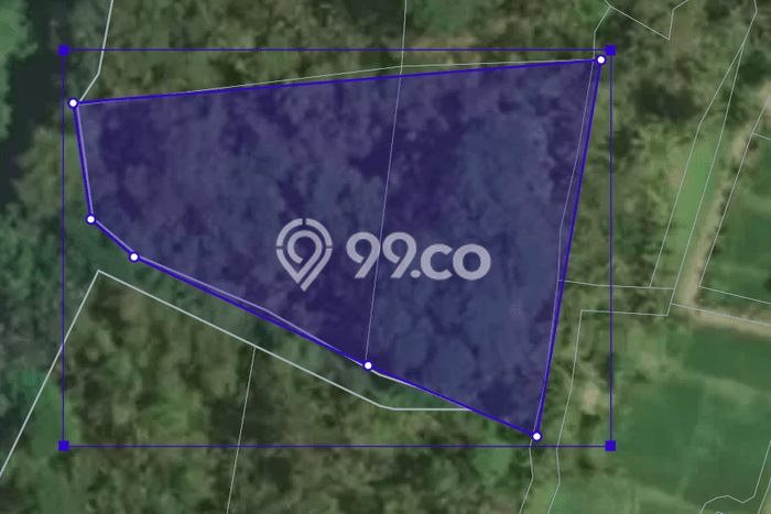 Lahan Sewa di Ubud Gianyar dengan Luas 6500m2 Lahan Sewa di Ubud Gianyar dengan Luas 6500m2