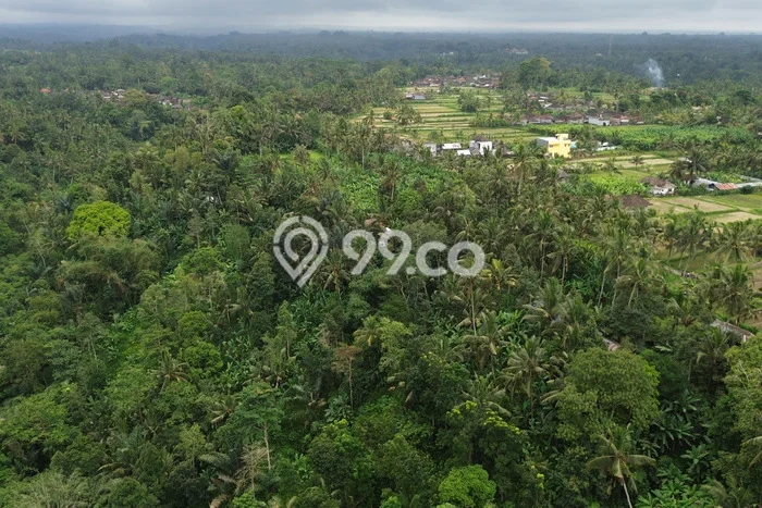 Lahan Sewa di Ubud Gianyar dengan Luas 6500m2 Lahan Sewa di Ubud Gianyar dengan Luas 6500m2