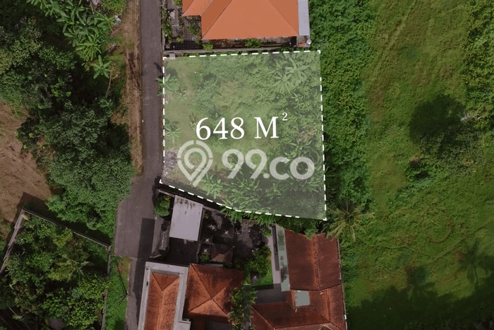Tanah Disewakan Lokasi Cepaka Tabanan Luas 648m2 Tanah Disewakan Lokasi Cepaka Tabanan Luas 648m2
