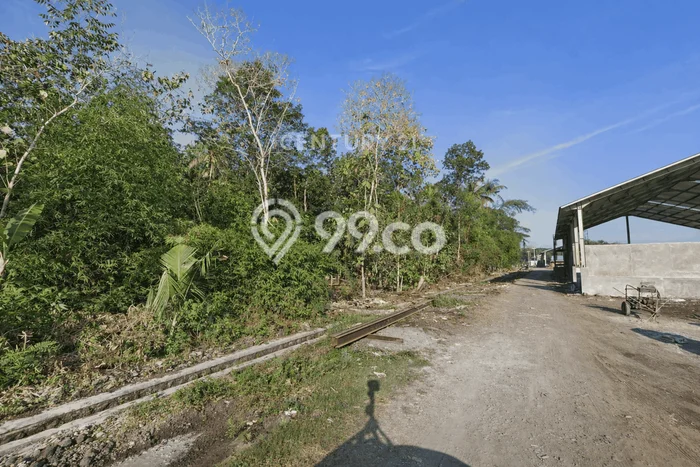 Untuk Dijual Tanah di Sedayu Bantul Luas 3086m2 SHM Untuk Dijual Tanah di Sedayu Bantul Luas 3086m2 SHM