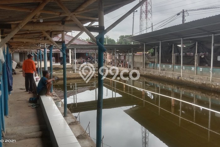 Jual Rumah Strategis Bagus Punya 1 KT di Lebaksiu Tegal SHM Jual Rumah Strategis Bagus Punya 1 KT di Lebaksiu Tegal SHM