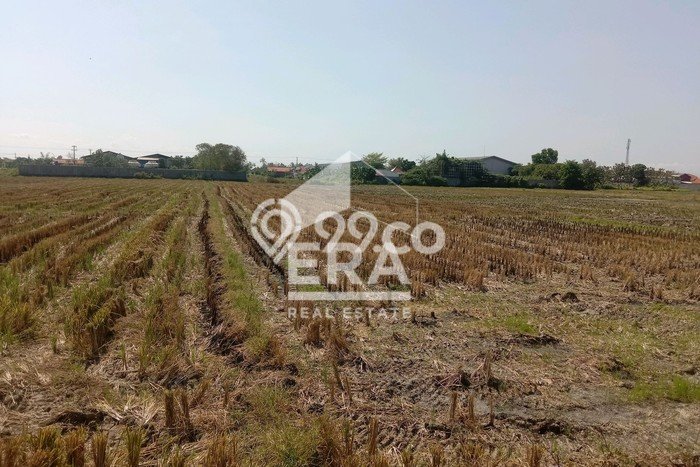 Kavling Tanah di Kramat Dijual Luas 8470m2 Legalitas SHM Kavling Tanah di Kramat Dijual Luas 8470m2 Legalitas SHM