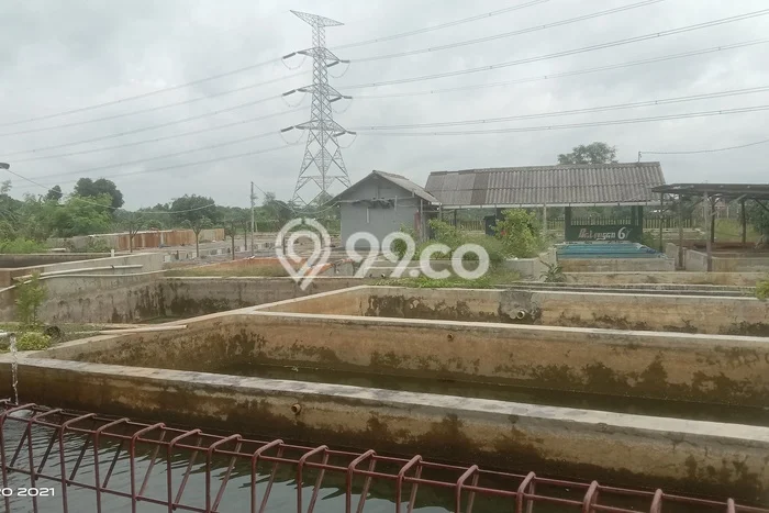 Tanah Dijual Lokasi Lebaksiu, Tegal Luas 2100m2 Legalitas Aman Tanah Dijual Lokasi Lebaksiu, Tegal Luas 2100m2 Legalitas Aman