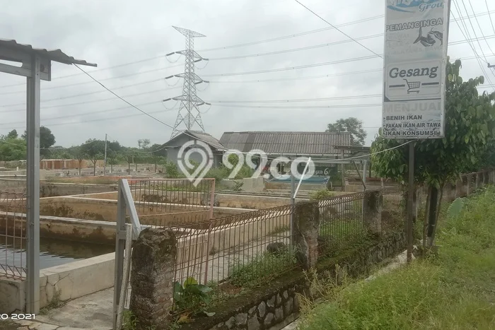 Tanah Dijual Lokasi Lebaksiu, Tegal Luas 2100m2 Legalitas Aman Tanah Dijual Lokasi Lebaksiu, Tegal Luas 2100m2 Legalitas Aman
