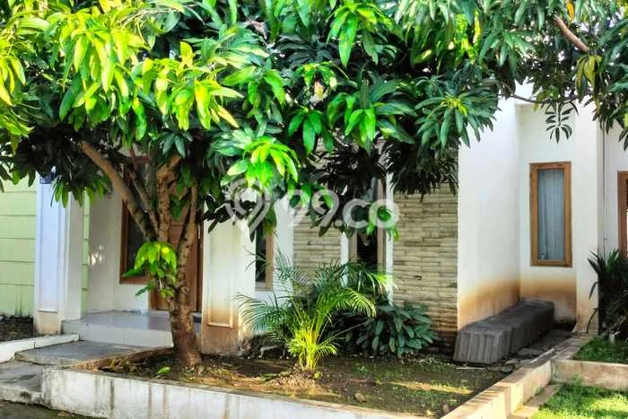 Dijual Cepat Rumah Bagus Siap Huni LB 85m2 di Slawi, Tegal Dijual Cepat Rumah Bagus Siap Huni LB 85m2 di Slawi, Tegal