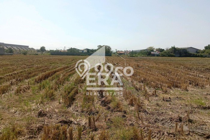 Kavling Tanah di Kramat Dijual Luas 8470m2 Legalitas SHM Kavling Tanah di Kramat Dijual Luas 8470m2 Legalitas SHM
