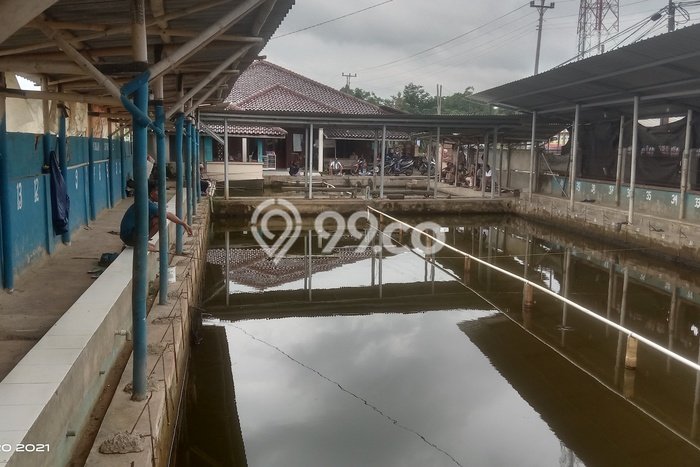 Jual Rumah Strategis Bagus Punya 1 KT di Lebaksiu Tegal SHM Jual Rumah Strategis Bagus Punya 1 KT di Lebaksiu Tegal SHM