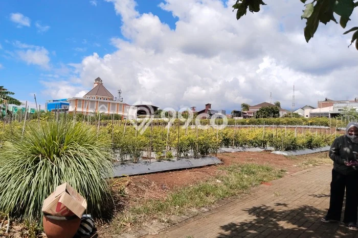 Tanah Kavling Dijual di Malang dengan Spesifikasi 84m2 Tanah Kavling Dijual di Malang dengan Spesifikasi 84m2