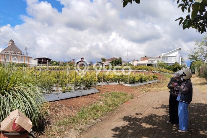 Tanah Kavling Dijual di Malang dengan Spesifikasi 84m2 Tanah Kavling Dijual di Malang dengan Spesifikasi 84m2