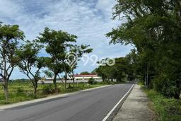 Tanah Dijual Lokasi Wates Kulon Progo SHM Tanah Dijual Lokasi Wates Kulon Progo SHM