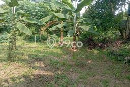 Dijual Tanah Lokasi Cibubur, Jakarta Timur Seluas 418m2 Dijual Tanah Lokasi Cibubur, Jakarta Timur Seluas 418m2